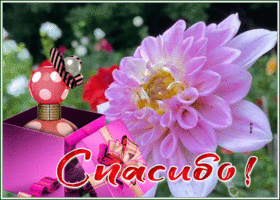 Picture спасибо большое