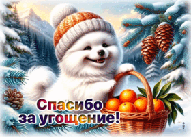 Postcard спасибо за угощение