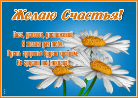 Картинка стильная открытка с цветами