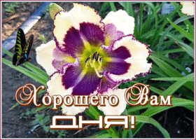 Открытка супер картинка хорошего дня