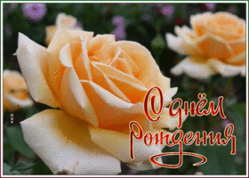 Картинка супер картинка с днем рождения женщине