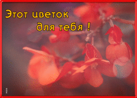 Открытка супер открытка с цветами