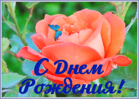 Картинка сверкающая открытка с днем рождения женщине