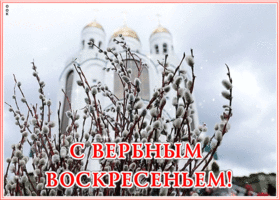 Картинка сверкающая открытка с вербным воскресеньем