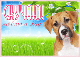 Картинка сверкающая открытка скучаю