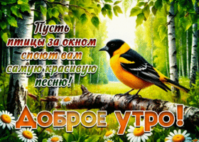 Picture сверкающая гиф-открытка, пусть птицы за окном поют