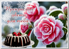 Picture сверкающая гиф-открытка с прекрасными цветами для тебя