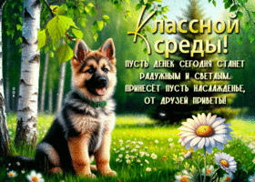 Picture светлая гиф-открытка, классной среды