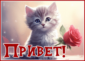 Postcard светлая гиф-открытка с приветом