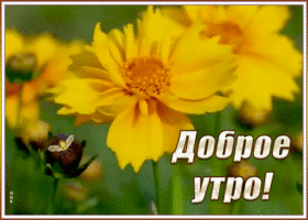 Картинка светлая открытка с добрым утром