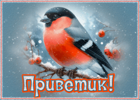 Postcard светлая открытка, с искренним приветствием