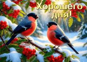 Picture светлая открытка, с пожеланием хорошего дня