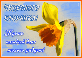 Открытка светлая открытка с вторником