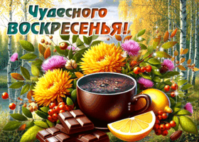Picture светлая открытка, спокойного и приятного воскресенья