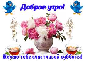 Postcard свежая открытка с счастливой субботой