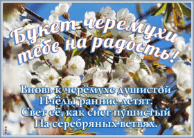 Открытка свежая открытка красивой женщине с цветами