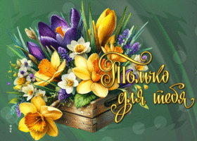 Picture теплая гиф-открытка, цветы только для тебя