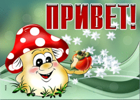 Picture теплая гиф-открытка, приветик