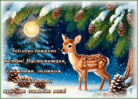 Postcard теплого зимнего вечера!
