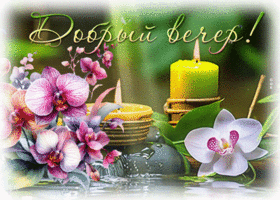 Postcard теплосердечная гиф-открытка, желает уютного вечера