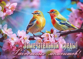 Picture теплосолнечная гиф-открытка, замечательной среды