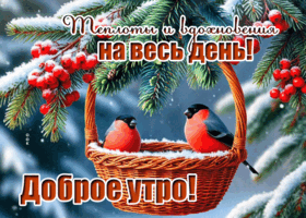 Postcard теплоты и вдохновения на весь день