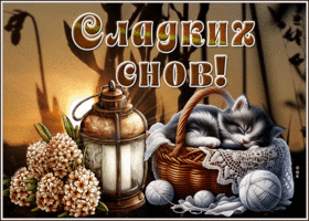 Postcard тихая гиф-открытка, сладких снов