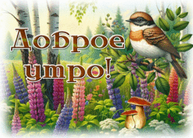 Picture торжественная гиф-открытка, пусть утро подарит радость