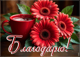 Postcard трепетная гиф-открытка, благодарю за все