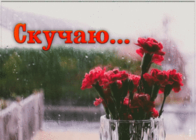 Открытка трогательная анимация скучаю