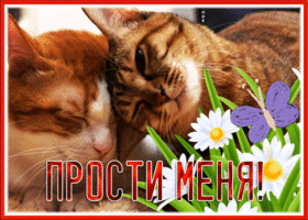 Picture трогательная и нежная открытка прости меня с анимацией