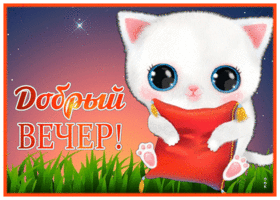 Открытка трогательная картинка добрый вечер с котенком