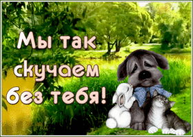 Картинка трогательная картинка скучаю
