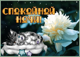 Postcard трогательная картинка спокойной ночи с котенком
