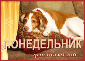 Picture трогательная открытка понедельник - день тяжелый