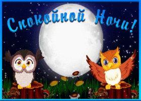 Картинка трогательная открытка спокойной ночи