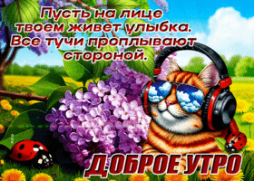 Postcard творческая гиф-открытка, пусть на лице живет улыбка