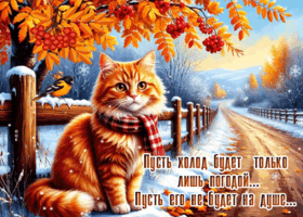 Postcard тёплая гиф-открытка, пусть холод будет лишь погодой