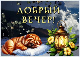 Picture тёплая гиф-открытка, уютного вам вечера