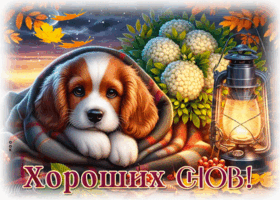 Postcard тёплая гиф-открытка, хороших снов