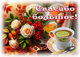 Postcard тёплая открытка, благодарю от всего сердца