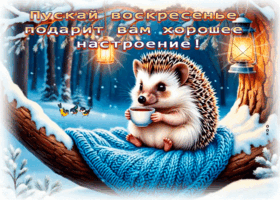 Postcard тёплая открытка, доброго воскресенья!