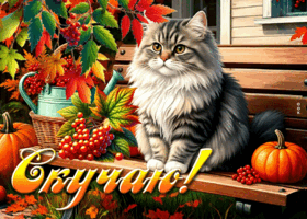Picture тёплая открытка, скучаю и посылаю обнимания