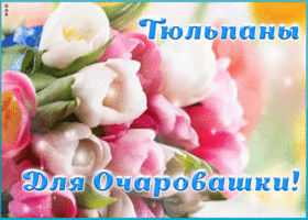 Открытка тюльпаны для очаровашки