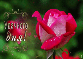 Открытка удачного дня