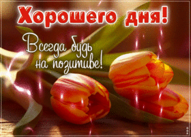 Postcard удивительная гиф-открытка, позитивного дня