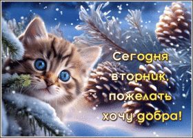 Picture удивительная гиф-открытка, сегодня вторник, желаю добра