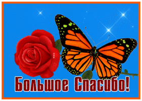 Picture удивительная картинка спасибо с бабочкой