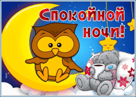 Postcard удивительная картинка спокойной ночи с совенком