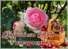 Picture удивительная картинка хорошего вам настроения